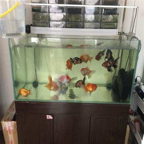 水量計算魚缸